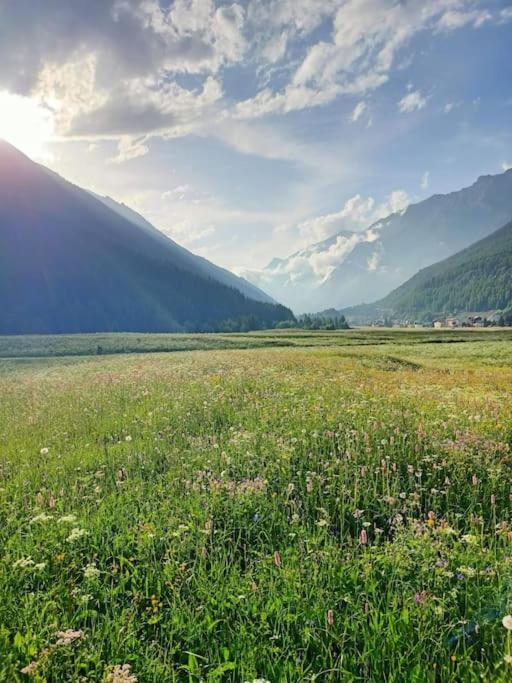 Villa Costa Da Lori Cogne Exteriér fotografie
